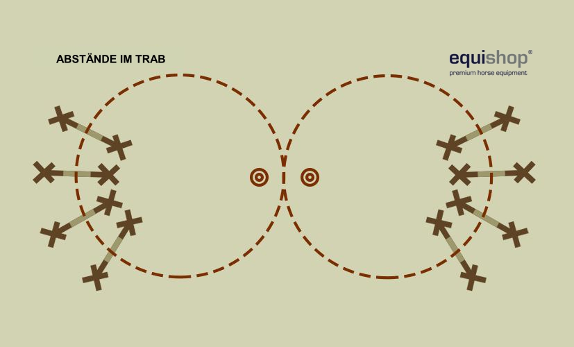 ósemka-drągi-kłus1-DE
