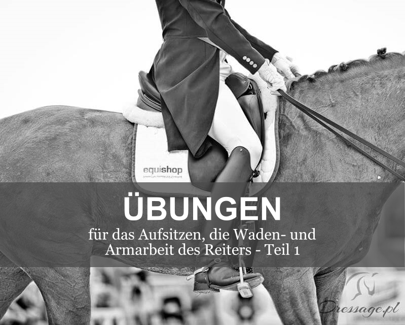 ćwiczenia-na-poprawę-dosiadu-pracy-łydek-i-rąk-DE