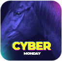 Cyber Monday w Equishop