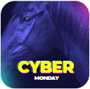 Cyber Monday in Equishop